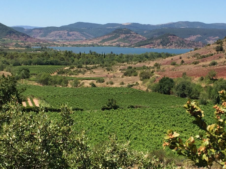 Vigne et eau. Vignobles et ruffe du Salagou, lac artificiel pour le tourisme et l'irrigation