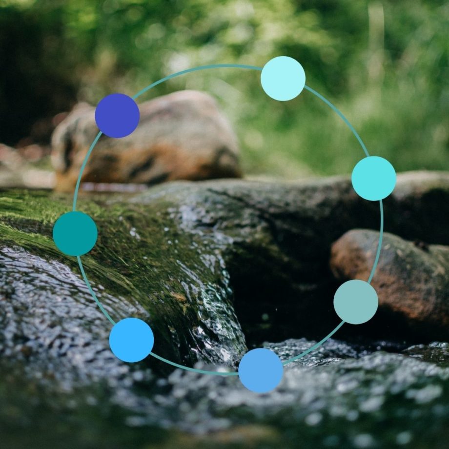 acteurs de la gestion de l'eau