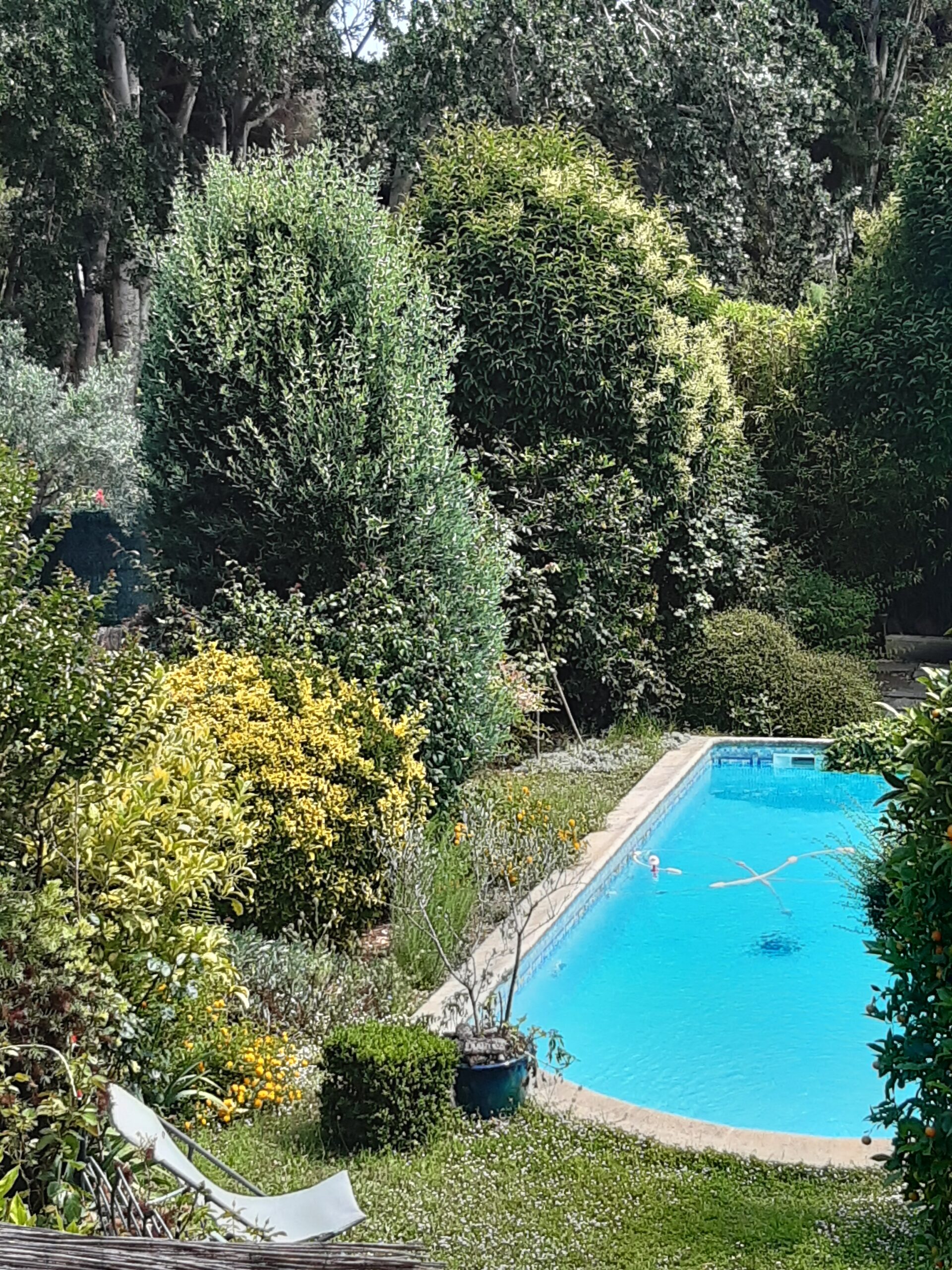 Photo du jardin économe en eau de Christine, habitante de la Grande Motte, Hérault, Occitanie