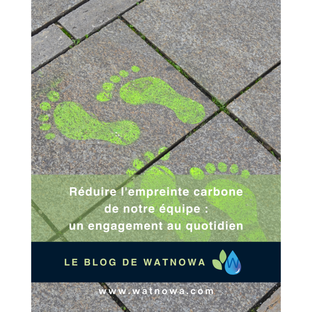 Photo d'empreinte de pied de couleur verte sur pavés. Sujet de l'article illustré par cette image : Réduire l'empreinte carbone de l'équipe de consultants en gestion de l'eau de Watnowa