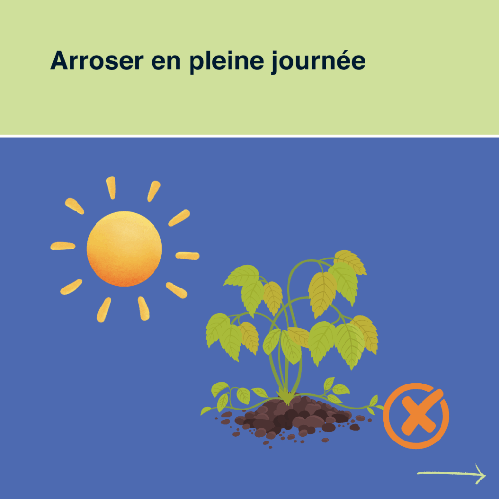 Erreurs à éviter quand on arrose son jardin en été - Arroser en pleine journée -Watnowa