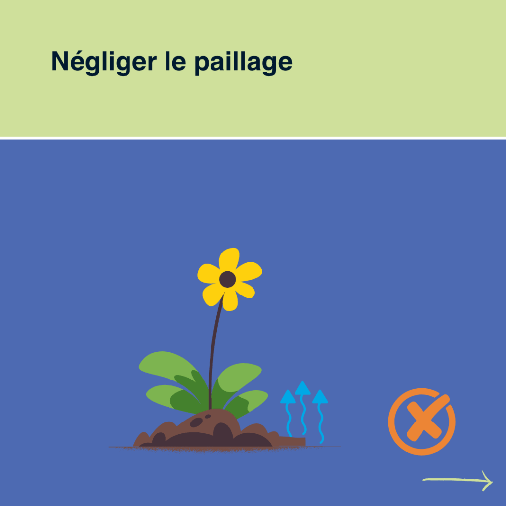 Erreurs à éviter quand on arrose son jardin en été - Oublier le paillage - Watnowa