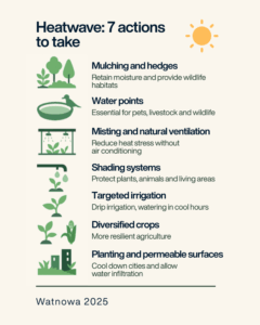 Infographic - 7 actions to take in case of heatwave by Watnowa