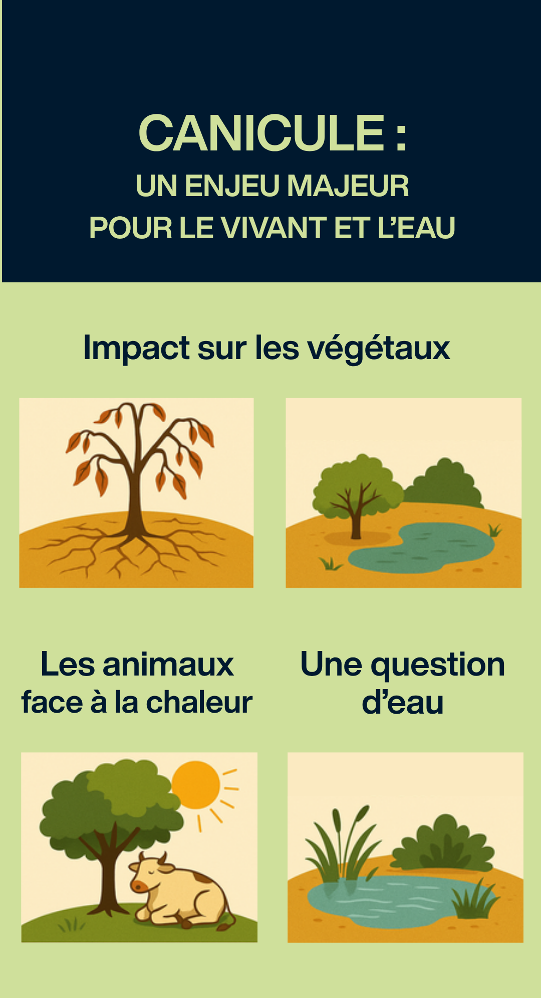 Illustration de l’impact de la canicule sur les végétaux, les animaux et les ressources en eau — un enjeu écologique majeur